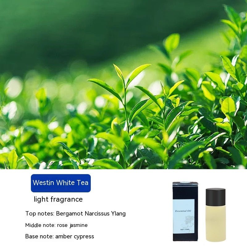 Intelligent Spray Car Mounted Fragrance Machine Air Outlet Car Mounted Perfume High - end Car Mounted Fragrance Durable Fragrance - Expo GPerfumeWhite Tea0